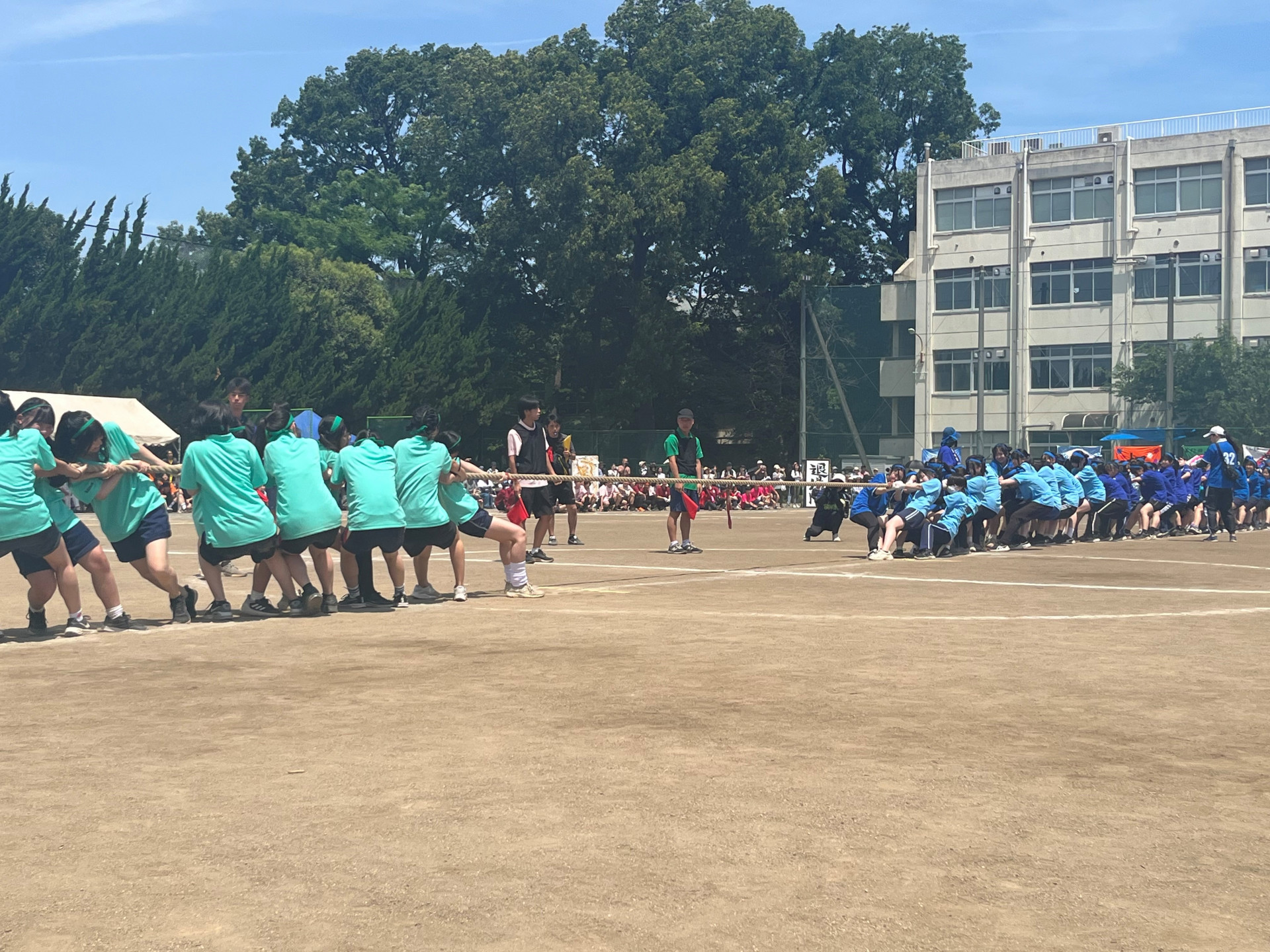 体育祭2025　綱引き